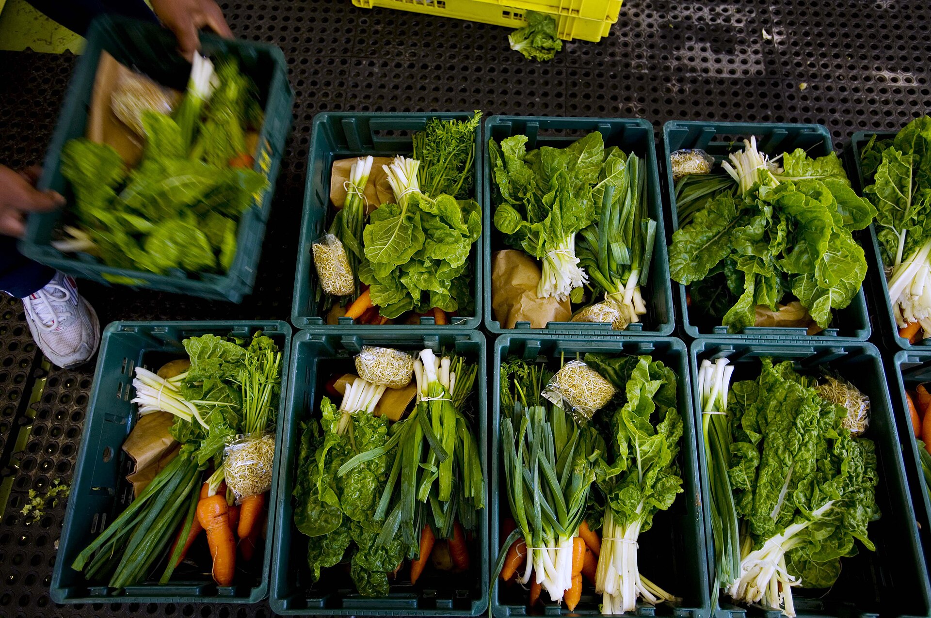 Farmers Cash In as Kirkwood Agricultural Show Draws Strong Eastern Cape Support