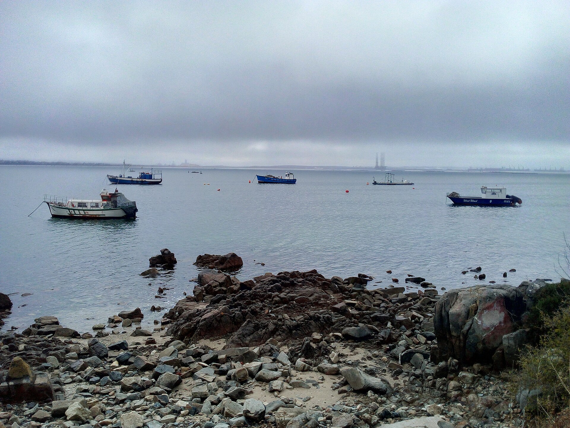 Back on the Menu: Saldanha Bay Mussels and Oysters Declared Safe to Harvest Again