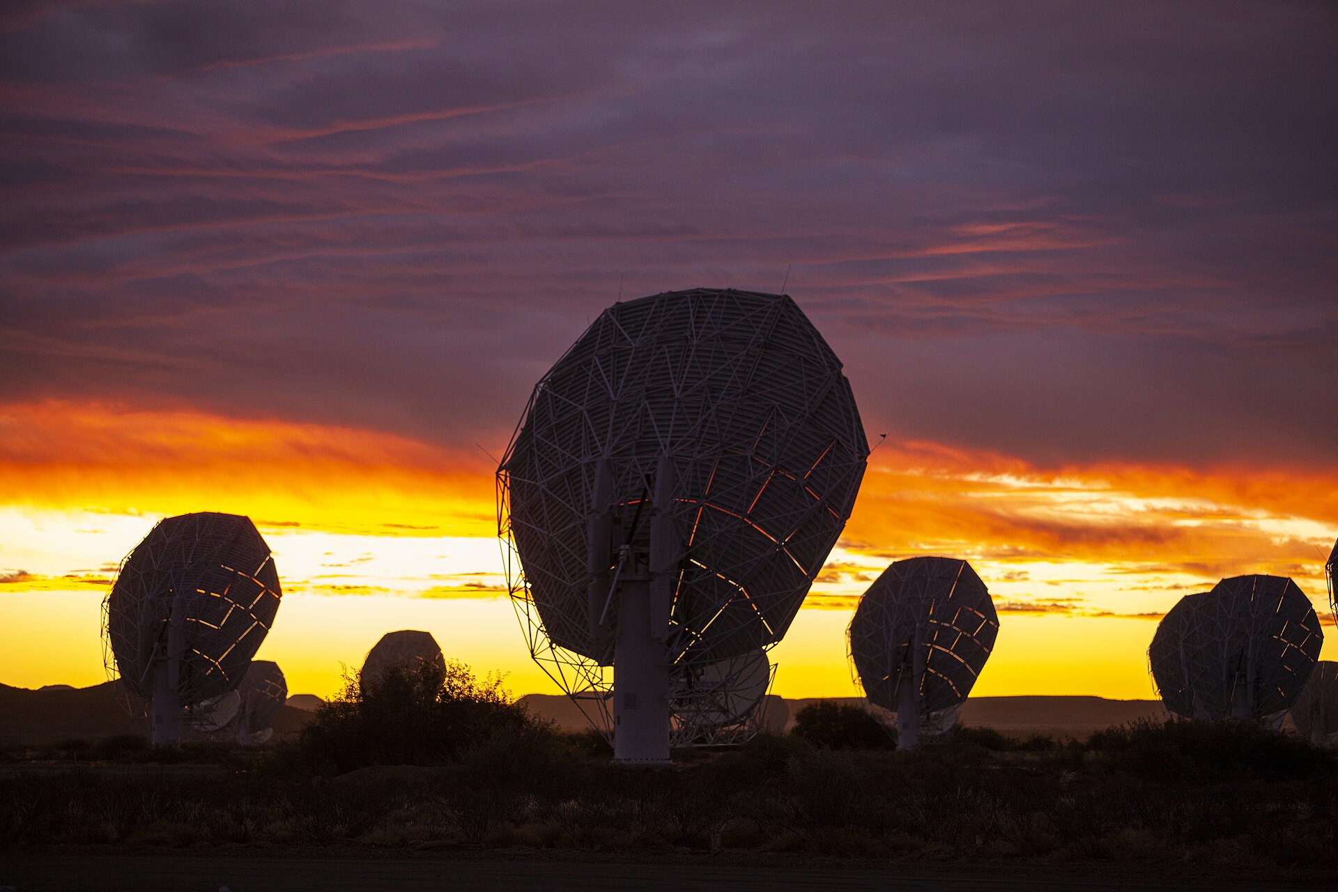 Science in Everyone’s Language: The Communicators Bringing MeerKAT, Medicine and More to South Africans