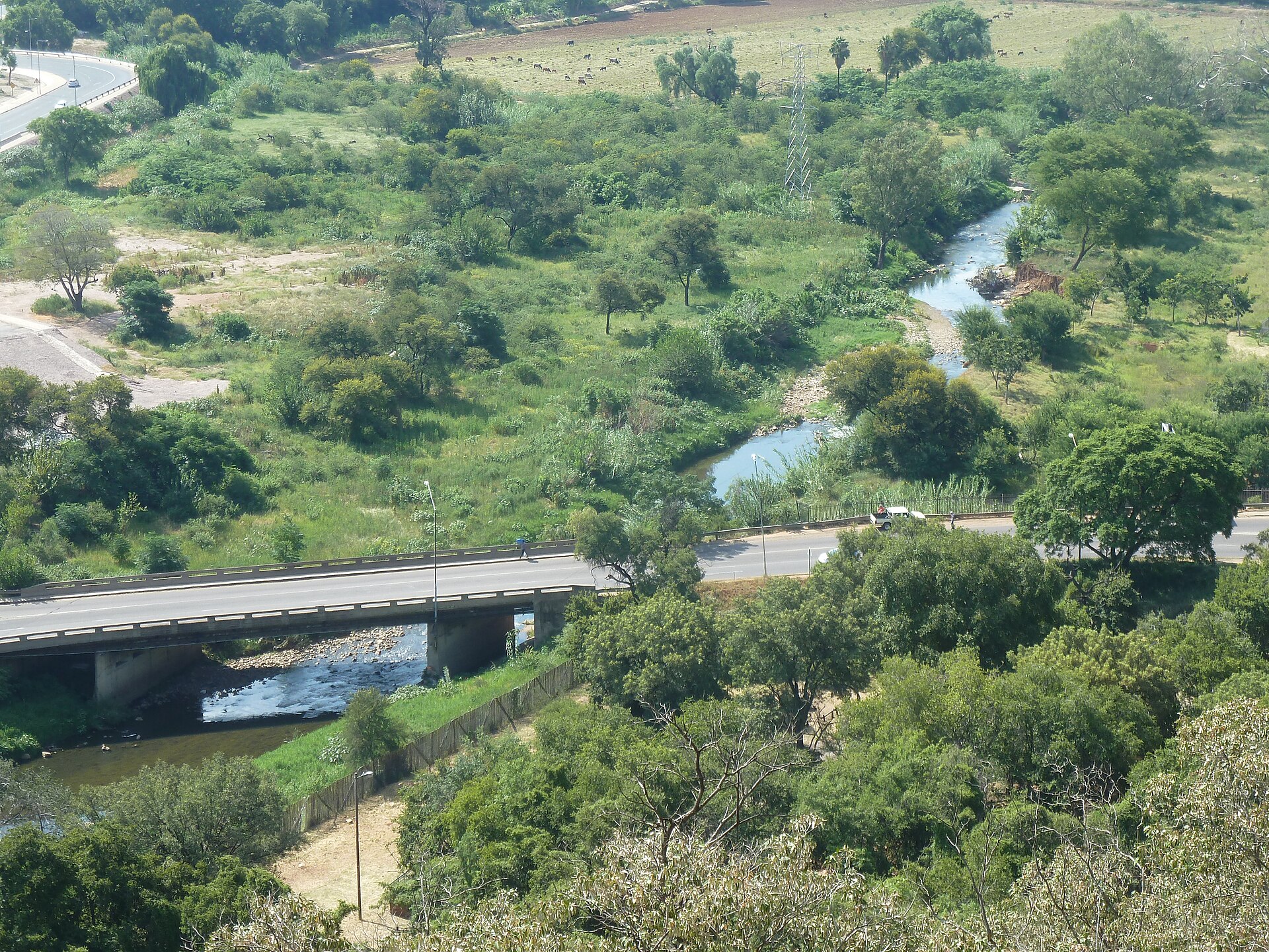 Rivers of Renewal: Clear Rivers Campaign Launches on the Apies as Citizens Take Up Water Stewardship