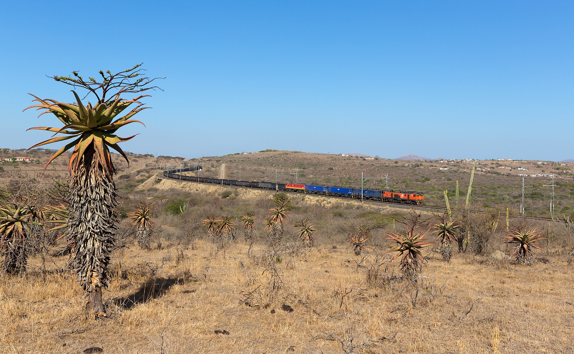 Growth Forecast Up, Rail Volumes Up, Factories Humming: South Africa’s Economic Reforms Gain Traction