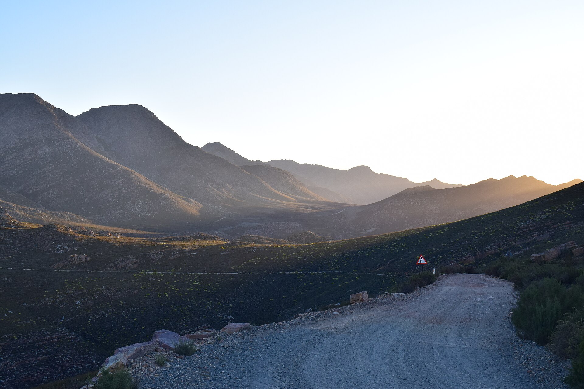 Fynbos, Frogs and a Fish Saved: Western Cape Conservation Wins Restore 13,000 Acres