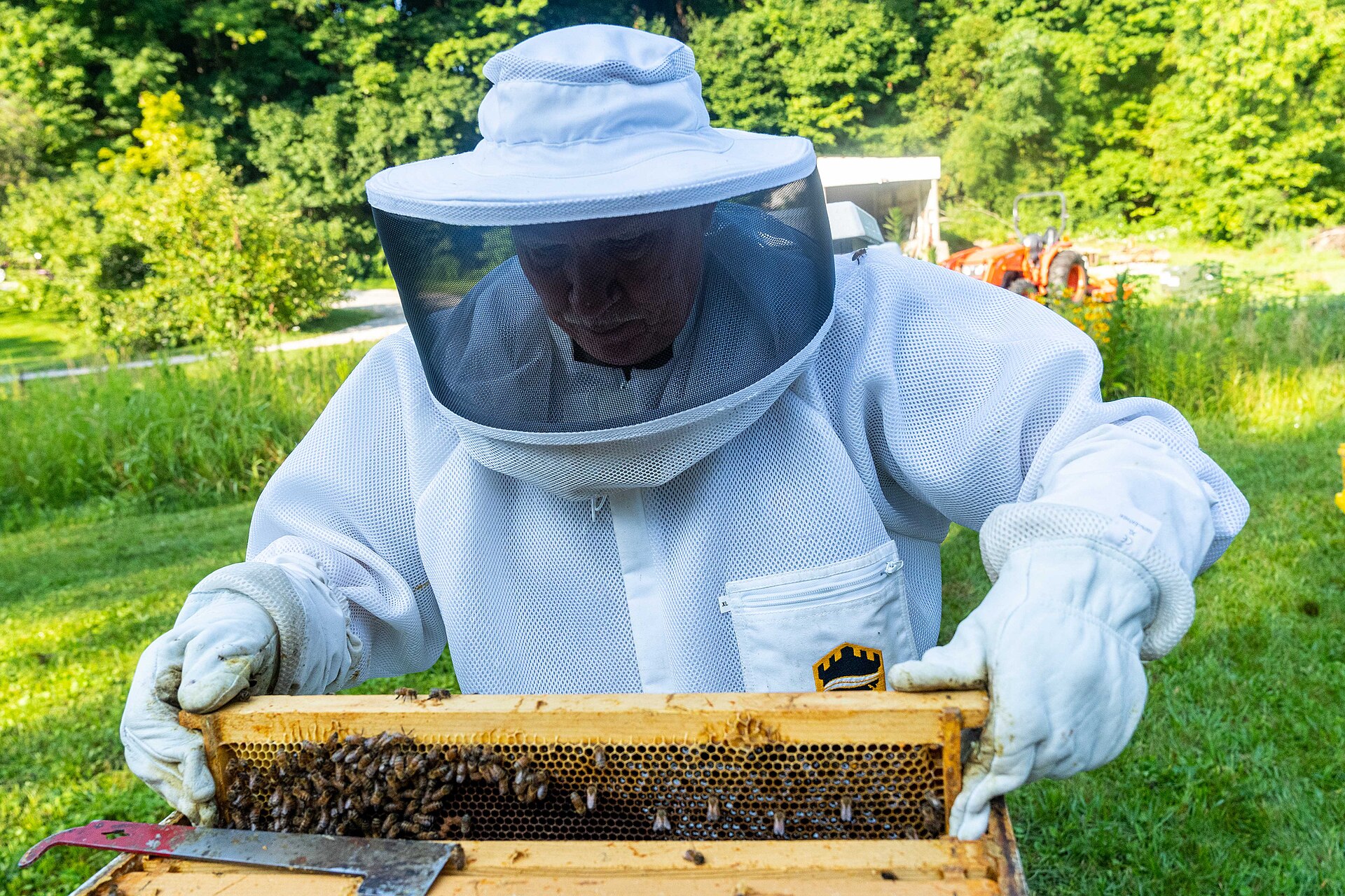 From Vilakazi Street to Germany: North West Beekeeper Mems Ramaila Turns a Chance Meeting Into a Honey Success Story