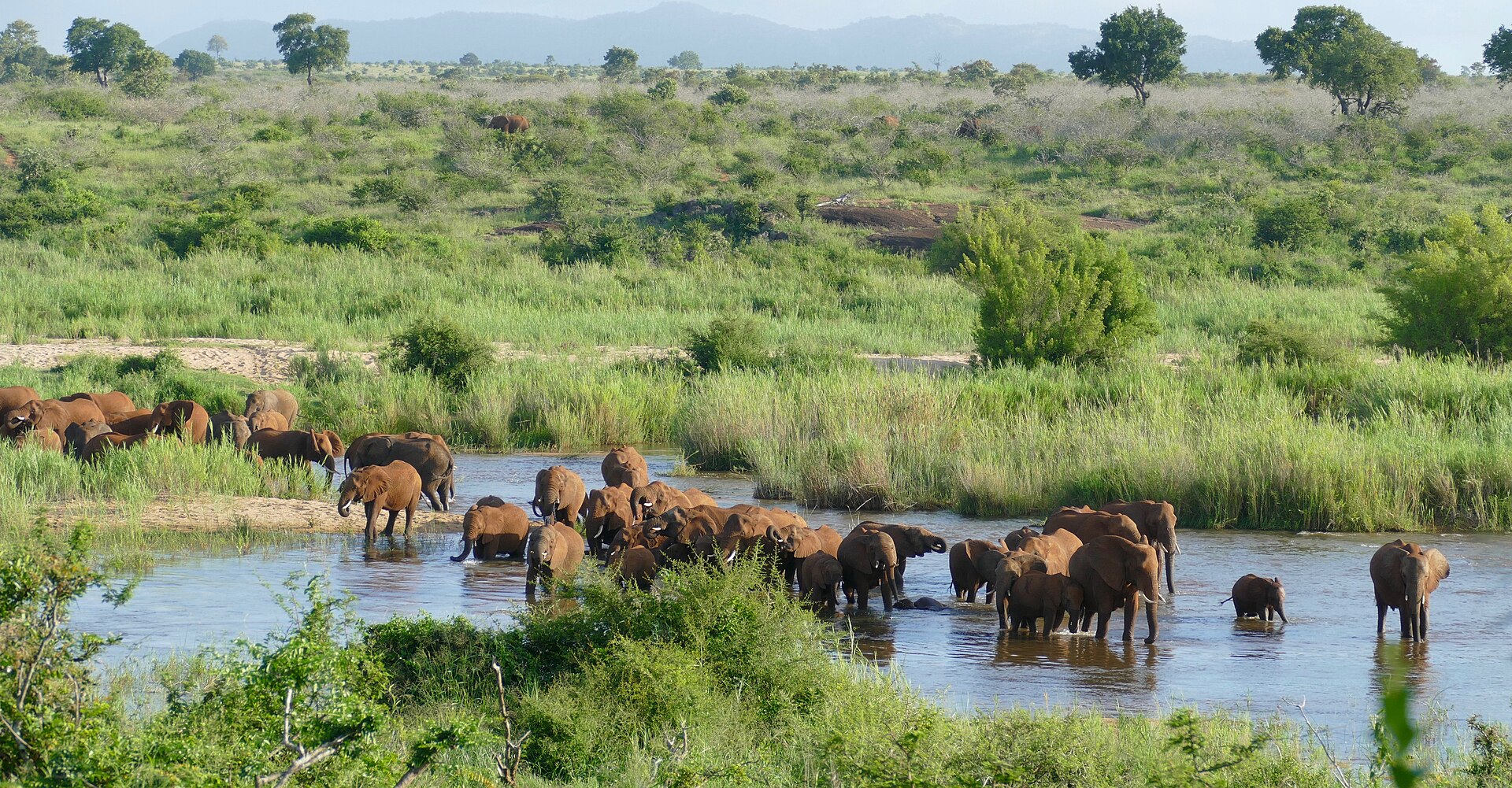 World’s Best: South African Lodges and Hotels Take Top Honours in the Travel + Leisure 2026 Awards