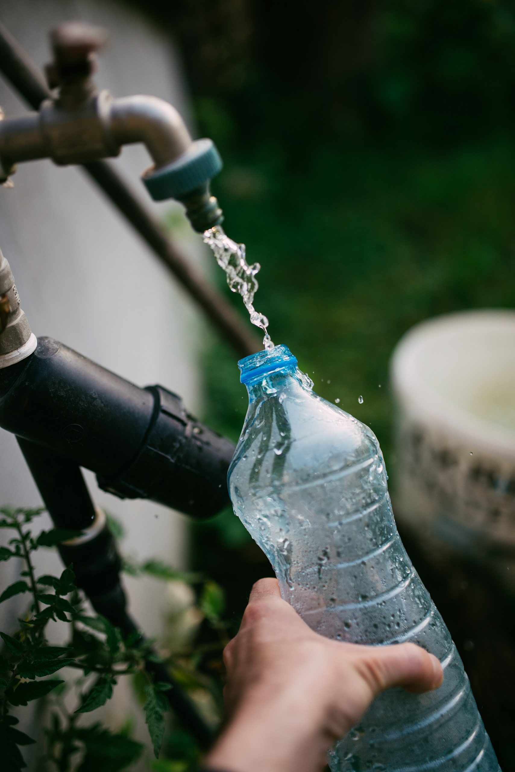From Mbombela to Stockholm: South Africa Rallies Behind Teen Water Innovator Sinenhlanhla Nkosi