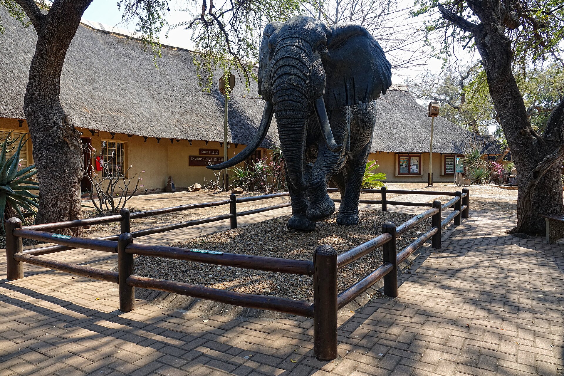 The Jewel Shines Again: Kruger’s R950 Million Rebuild Is Bringing Letaba Back Better Than Ever
